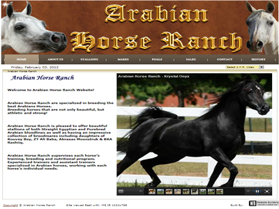 Arabian Horse Ranch 